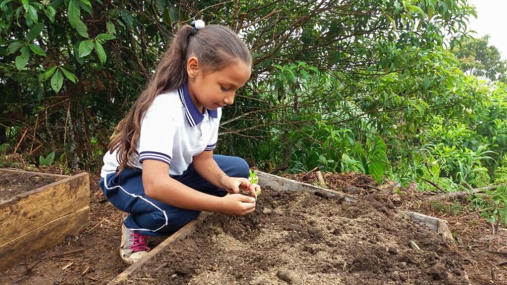 Inicio del Proceso de Agroecología en la Institución Educativa El Bosque, Vereda El Congal
