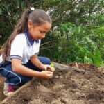 Inicio del Proceso de Agroecología en la Institución Educativa El Bosque, Vereda El Congal