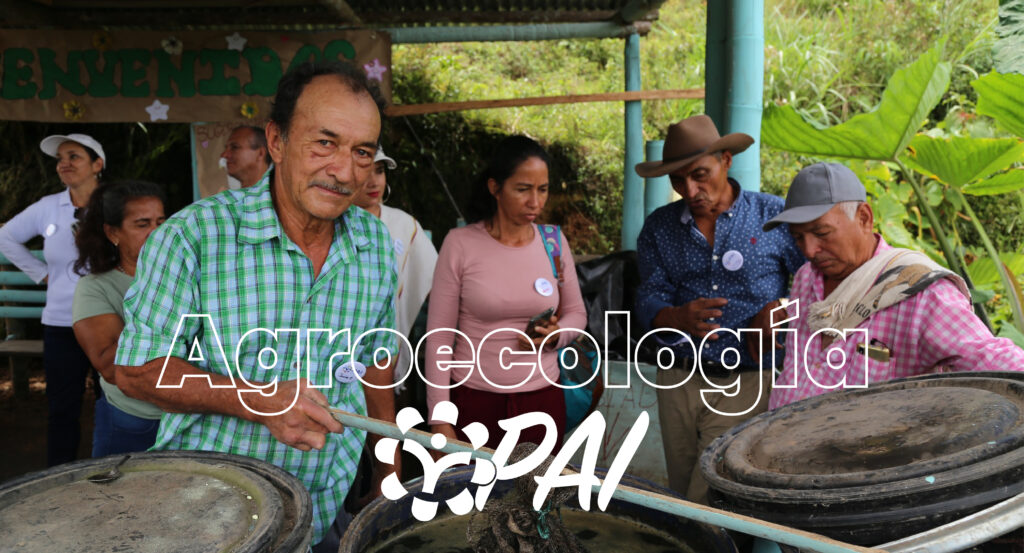 Agroecología: Un Camino Hacia Sistemas Alimentarios Sostenibles