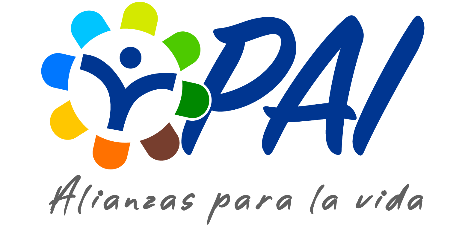 Plan de Acción Integral - PAI