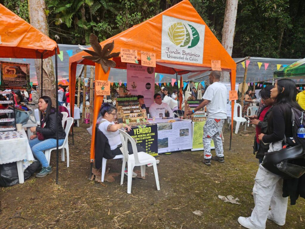 🌿𝙀𝘾𝙊𝙑𝙄𝘿𝘼 2025: 𝙎𝙚𝙢𝙞𝙡𝙡𝙖𝙨 𝙦𝙪𝙚 𝙛𝙡𝙤𝙧𝙚𝙘𝙚𝙣 𝙚𝙣 𝙘𝙤𝙢𝙪𝙣𝙞𝙙𝙖𝙙 🌿